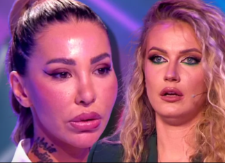 OBJAVIĆU SLIKE GDE VAM FAVORIT RADI… Milica Veličković zapretila Anelinim lavicama: Gore mreže, Ahmičku DRŽI U ŠACI?!