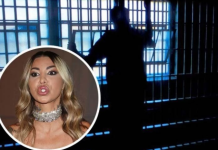 NOVI DETALJI O KRIMINALNOM DOSIJEU ANELI AHMIĆ: Asminov otac obelodanio sve o aferi “KOFER” – OVAKO je mafijašima dojavila podatke!