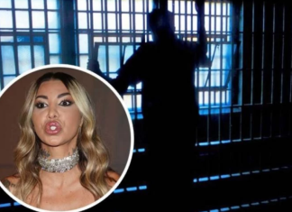 NOVI DETALJI O KRIMINALNOM DOSIJEU ANELI AHMIĆ: Asminov otac obelodanio sve o aferi “KOFER” – OVAKO je mafijašima dojavila podatke!