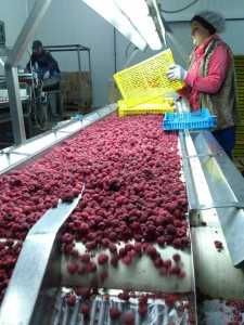 10406557_676396632442258_1575471305343640649_n