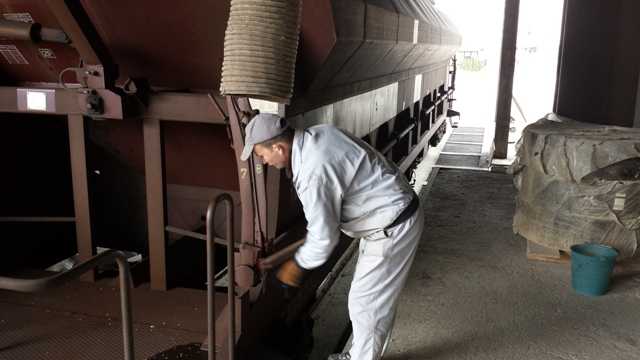 Dopremanje voza sa pšenicom u Klas 4