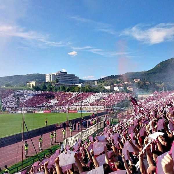 10462476_828889987188867_2445646766846477452_n