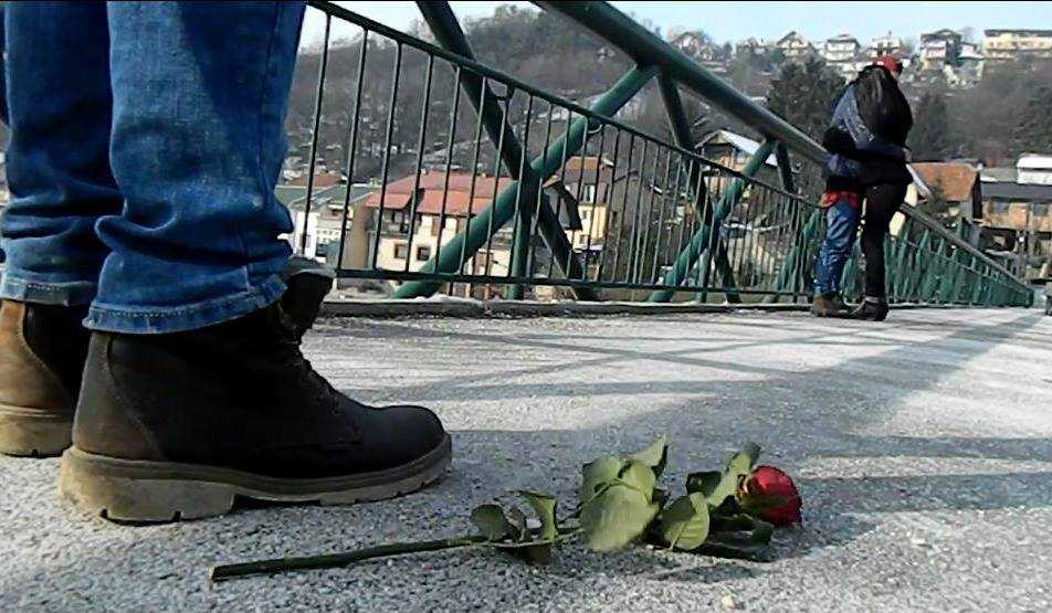 12714480_1039578939431477_1872550756_n