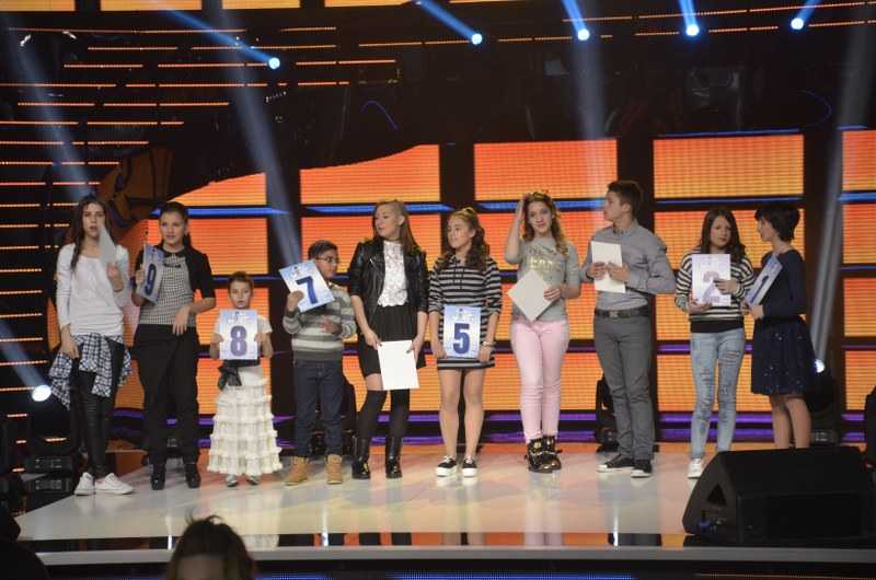 _DSC7373 (1)_800x530