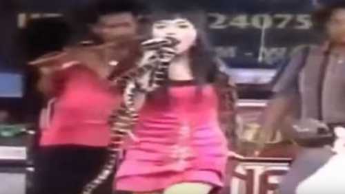 thumb460_88979_1zmija-620x350